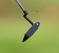 TPコレクション NK PROTO 